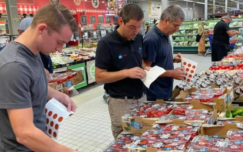 Les producteurs français ne supportent plus la concurrence avec la tomate marocaine