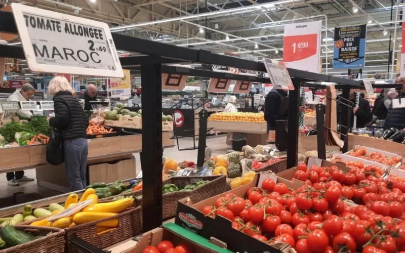 Tomate : Le Maroc détrône ses rivaux européens