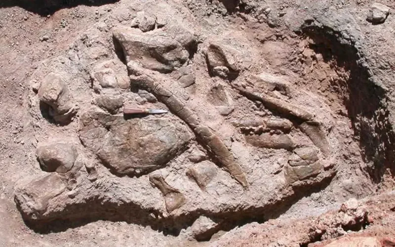 Une vidéo TikTok conduit à une découverte scientifique majeure au Maroc