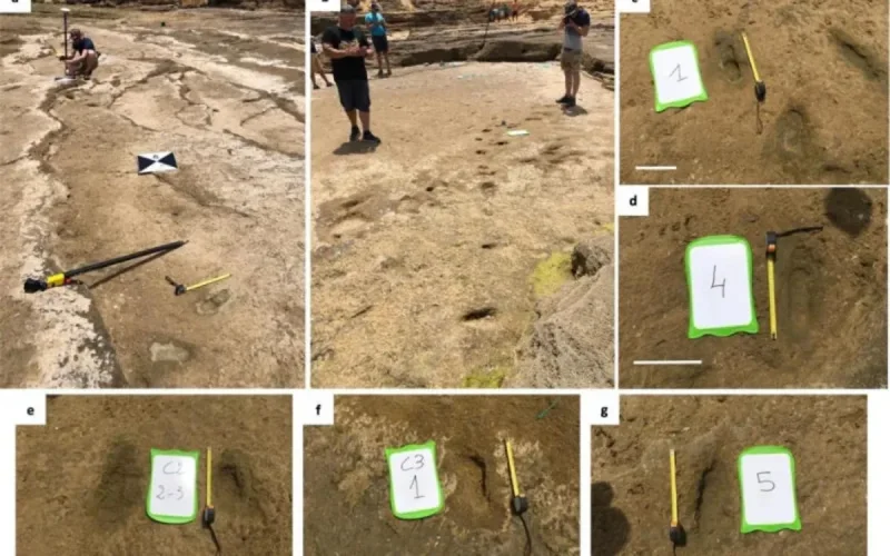 Maroc : le sol livre les secrets de l'Homo sapiens