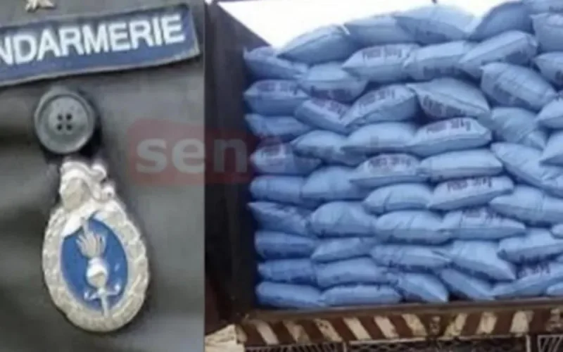 Trafic d'engrais marocain entre le Sénégal et la Gambie