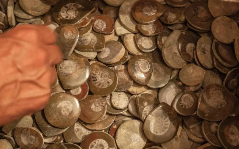 Un trésor archéologique marocain saisi à Sète