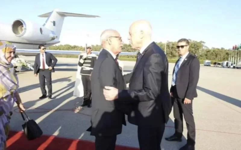 Sahara : un ancien diplomate tunisien appelle son pays à clarifier sa position 