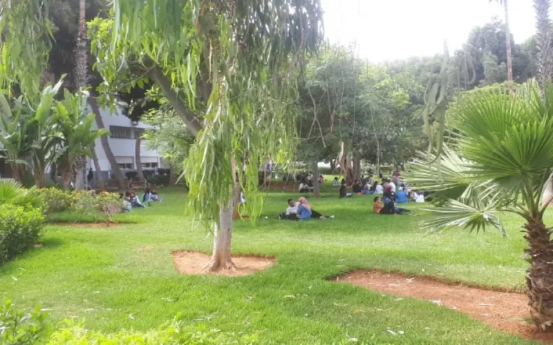 Classement CWUR : les meilleures universités africaines et arabes sont marocaines