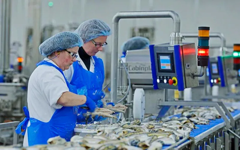 Saupiquet délaisse la France pour le Maroc