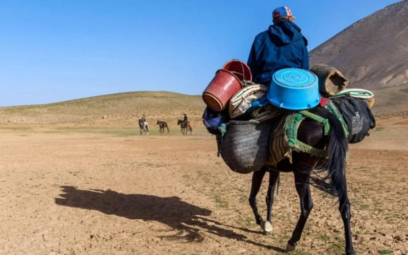 Une nouvelle vague de chaleur s'installe sur le Maroc (+44 degrés)