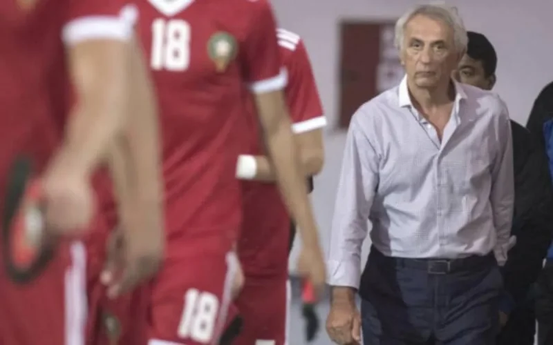 Vahid Halilhodzic se dit « prêt à démissionner » 
