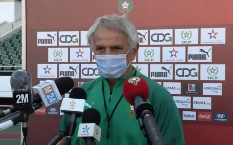 Vahid Halilhodzic : objectif Coupe du monde avec le Maroc