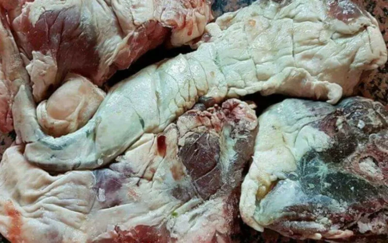 Aïd Al-Adha au Maroc : alerte sur les viandes vertes