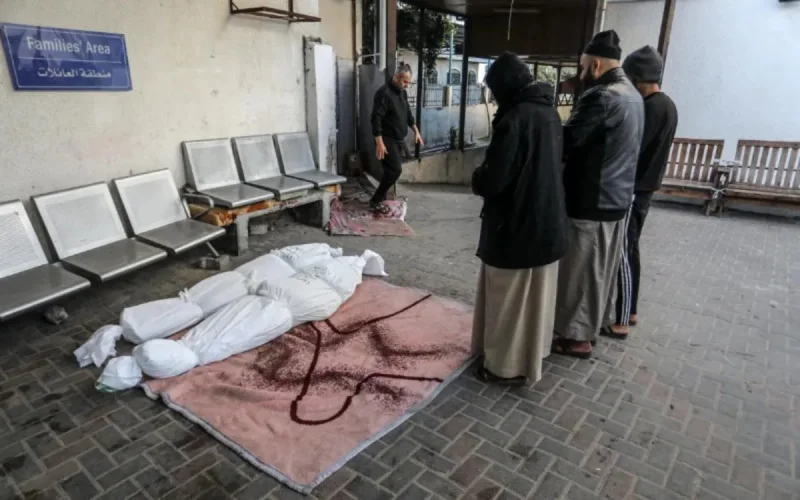 Gaza : l'appel urgent du CFCM à la communauté internationale 