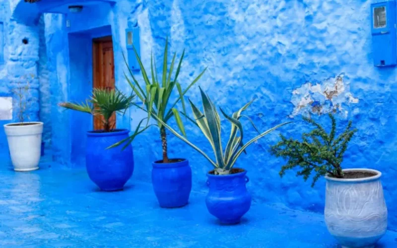 Cette ville marocaine est l'une des plus belles du monde 