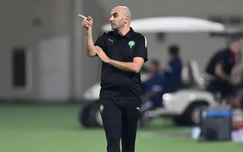 Qatar 2022 : Walid Regragui pourra-t-il réaliser l'exploit du Nigérian Stephen Keshi ? 