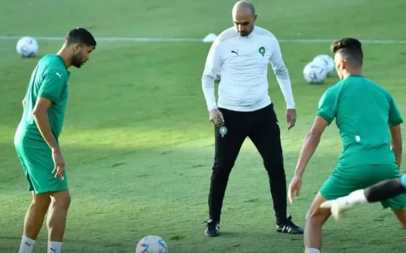 Lions de l'Atlas : Fouzi Lekjaa donne carte blanche à Walid Regragui