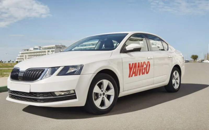 Yango indésirable à Casablanca