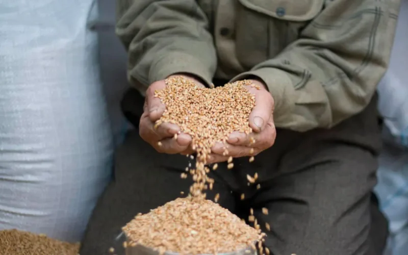 Zakat Al Fitr au Maroc : Voici combien vous devrez verser avant la fin du Ramadan