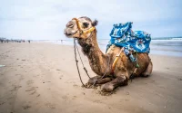 Agadir : le paradis des familles à petit prix