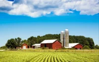 Les agriculteurs américains appellent le Maroc à l'aide