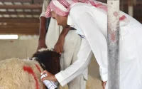 Aïd al-Adha : la date se précise en Arabie saoudite