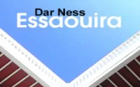Dar Ness