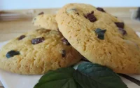Biscuits au chocolat et à la menthe