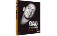 Interview de Gad Elmaleh après la sortie de son dernier spectacle en DVD