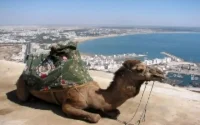 500000 touristes à Agadir depuis le début de l'année