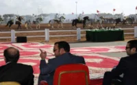 Le Roi Mohammed VI offre un cheval à la France