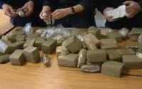 Saisie de 14 tonnes de drogue destinées à la Belgique