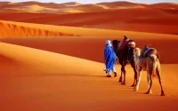Maroc : la part du tourisme de plus en plus importante dans l'économie