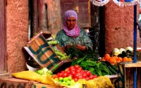 La malnutrition quasi inexistante au Maroc, mais...