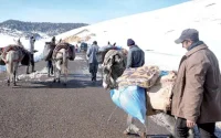 Maroc : lancement d'une grande opération ciblant les régions touchées par le froid