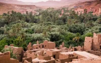 Les oasis marocaines en voie de disparition