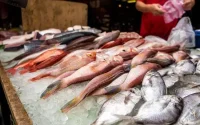 Maroc : la consommation du poisson cru nuisible à la santé