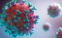 Coronavirus : une équipe marocaine déchiffre le génome du virus
