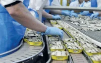 Le Brésil bloque la sardine marocaine