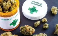 Légalisation du « cannabis médical » : une évolution majeure pour le Maroc