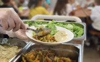 Barcelone : le porc banni des menus dans toutes les crèches publiques