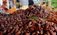 De 25 à 220 dirhams le kilo de la datte : pourquoi de tels écarts à Casablanca ?