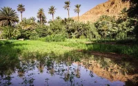 Quand le Sahara marocain était vert