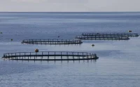 Le Maroc veut construire une dizaine de fermes piscicoles au large des îles Canaries