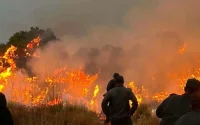 Algérie : les forêts brûlent, l'aide marocaine reste taboue