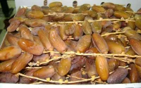 Alerte aux fausses dattes “marocaines”
