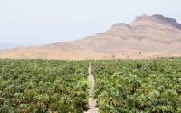 Le Maroc et l'Algérie manquent d'eau, mais pas du tout de la même manière