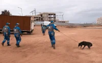Au Maroc, nourrir un chien errant pourrait coûter cher