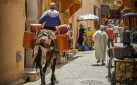 Le Maroc cherche son nouveau moteur de croissance