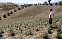 Maroc : le marché clandestin du haschich résiste toujours à la légalisation