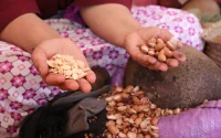 Le Maroc règne sur l'argan, mais ce sont les autres qui empochent l'argent