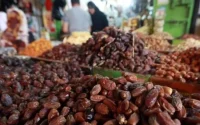 Faut-il boycotter les dattes importées au profit du produit marocain ?