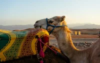Près de Marrakech, le désert d'Agafay menacé par son propre succès (Le Figaro)
