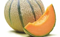 Du melon biologique marocain rappelé en France pour cause de pesticides